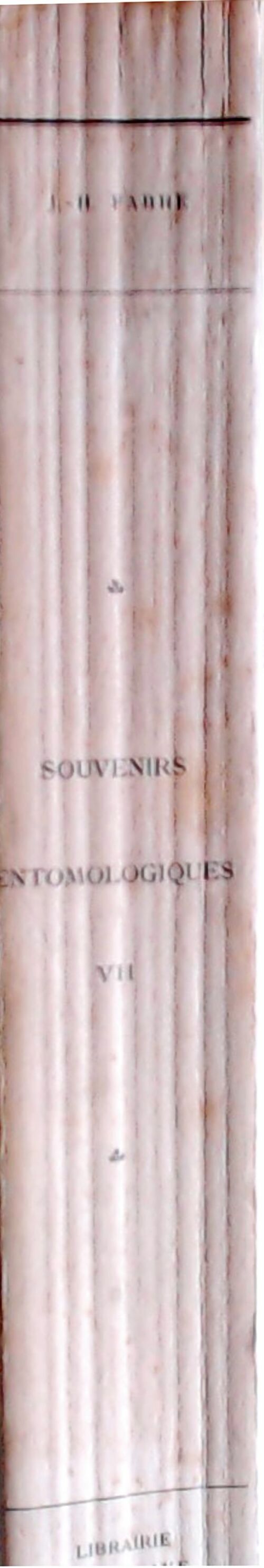 Souvenirs entomologiques Tome VII - J.H Fabre -  Delagrave GF - Livre