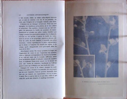 Souvenirs entomologiques Tome VII - J.H Fabre -  Delagrave GF - Livre