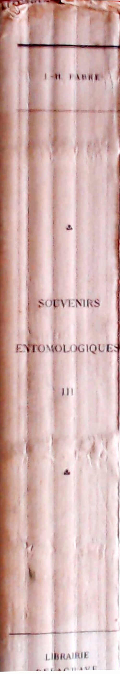 Souvenirs entomologiques Tome III - J.H Fabre -  Delagrave GF - Livre