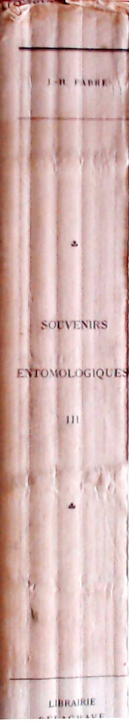 Souvenirs entomologiques Tome III - J.H Fabre -  Delagrave GF - Livre