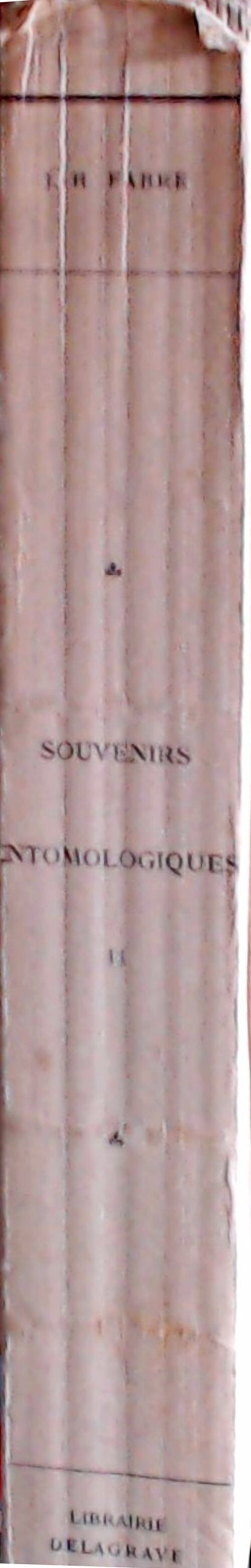 Souvenirs entomologiques Tome II - J.H Fabre -  Delagrave GF - Livre