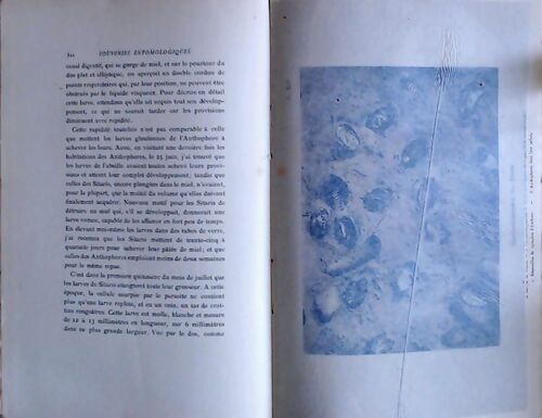 Souvenirs entomologiques Tome II - J.H Fabre -  Delagrave GF - Livre