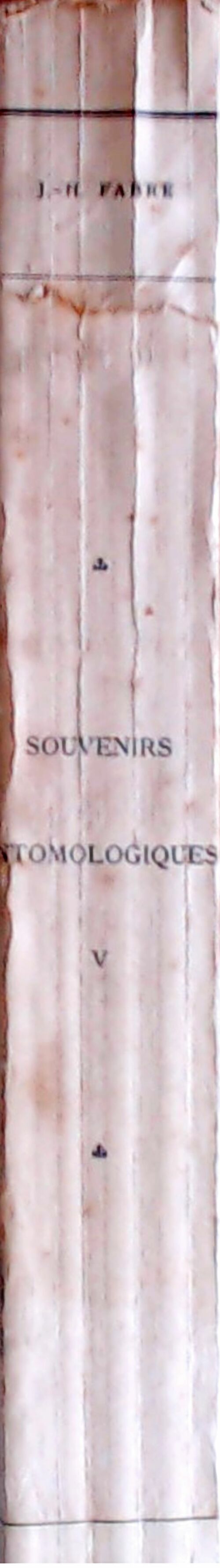 Souvenirs entomologiques Tome V - J.H Fabre -  Delagrave GF - Livre