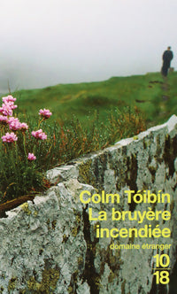 La bruyère incendiée - Colm Toibin -  10-18 - Livre