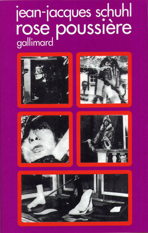 Rose poussière - Jean-Jacques Schuhl -  Le chemin - Livre