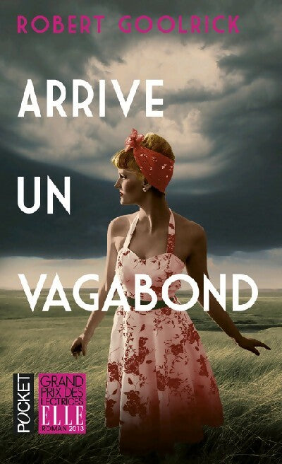 Arrive un vagabond - Robert Goolrick -  Pocket - Livre