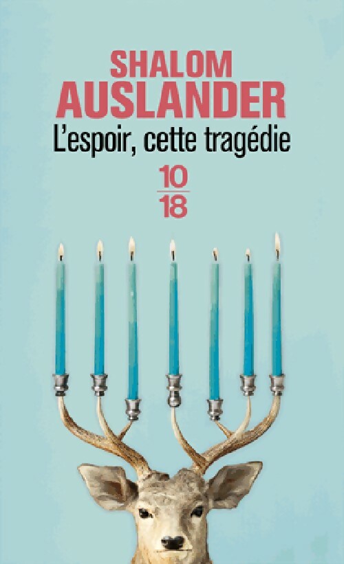 L'espoir, cette tragédie - Shalom Auslander -  10-18 - Livre