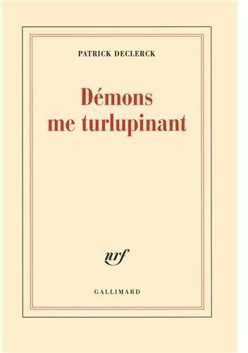 Démons me turlupinant - Patrick Declerck -  Gallimard GF - Livre
