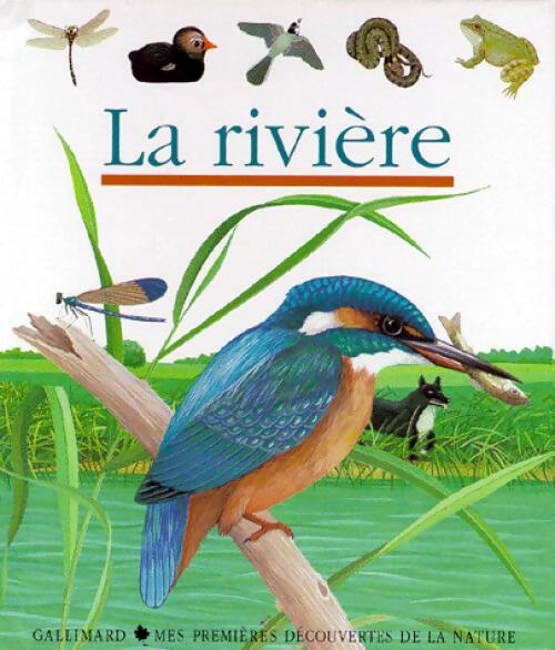 La rivière - Laura Bour -  Mes premières découvertes - Livre