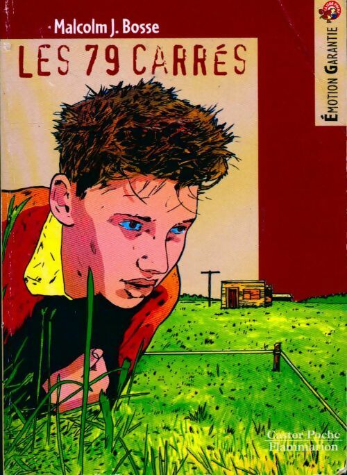 Les 79 carrés - Malcolm Bosse -  Castor Poche - Livre