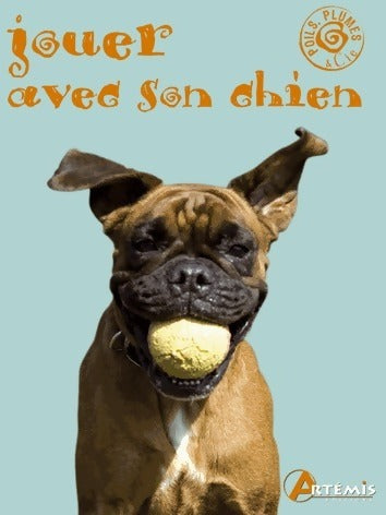 Jouer avec son chien - Birgit Kosthaus -  Artémis GF - Livre