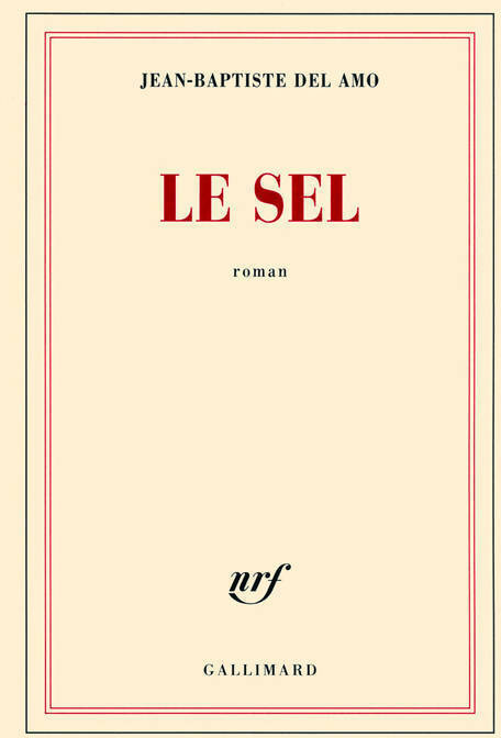 Le sel - Jean-Baptiste Del Amo -  Gallimard GF - Livre