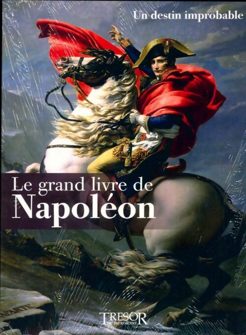 Le grand livre de napoléon Tome I : Un destin improbable - Collectif -  Trésor du patrimoine - Livre