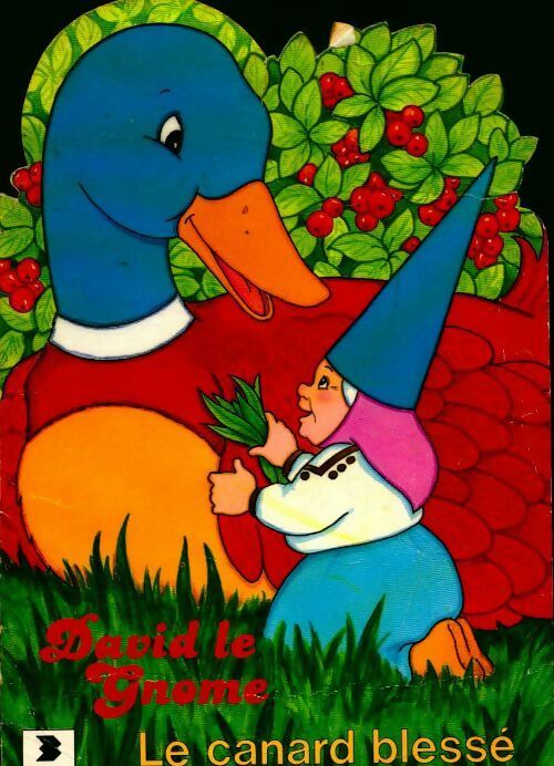 David le gnome : le canard blessé - Jacques Thomas-Bilstein -  David et ses amis - Livre
