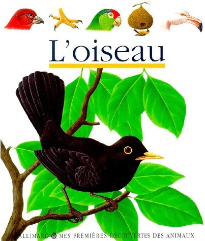 L'oiseau - Collectif -  Mes premières découvertes - Livre