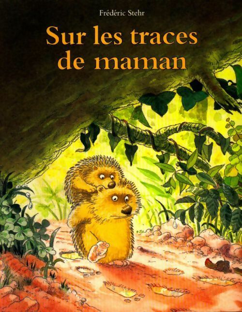 Sur les traces de maman - Frédéric Stehr -  Ecole des Loisirs GF - Livre