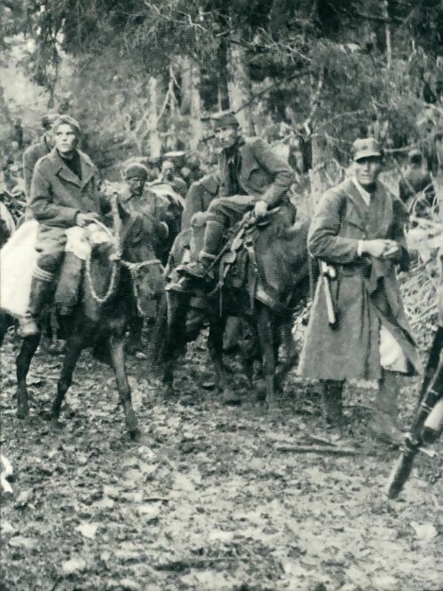 Maquis et partisans - Ronald H. Bailey -  La deuxième guerre mondiale - Livre