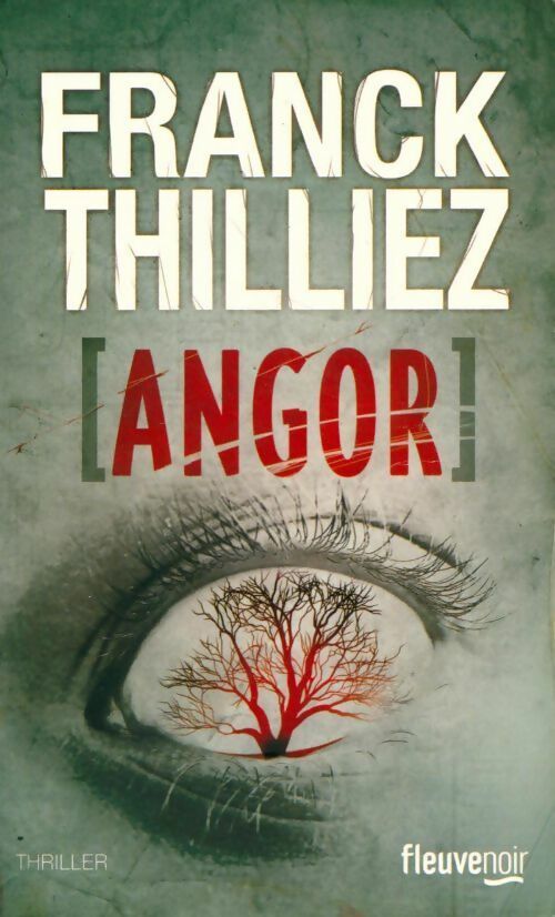Angor - Franck Thilliez -  Thriller - Livre
