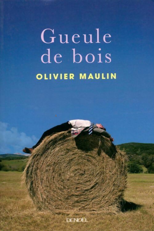 Gueule de bois - Olivier Maulin -  Denoel GF - Livre