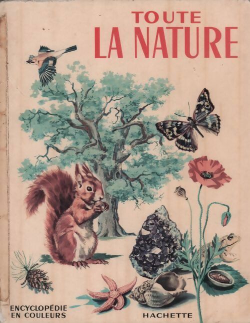 Toute la nature - Marie Refoy -  Hachette GF - Livre