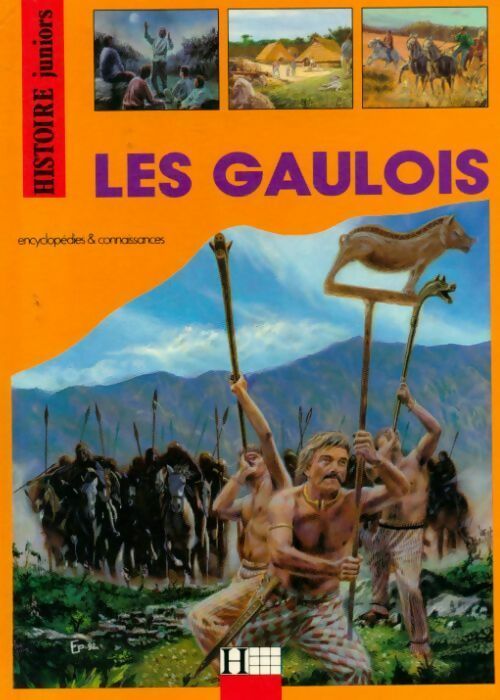 Les gaulois - André Bendjebbar -  Histoire juniors - Livre
