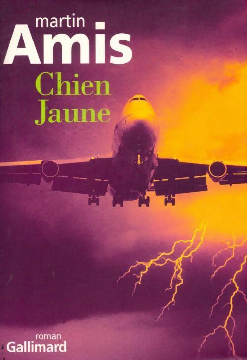 Chien jaune - Martin Amis -  Gallimard GF - Livre