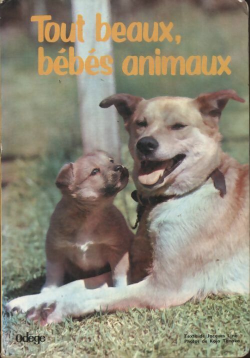 Très beaux bébés animaux - Kojo Tanaka -  Odege - Livre