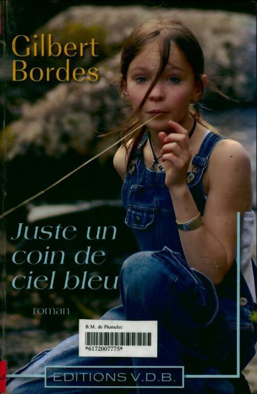 Juste un coin de ciel bleu - Gilbert Bordes -  VDB - Livre