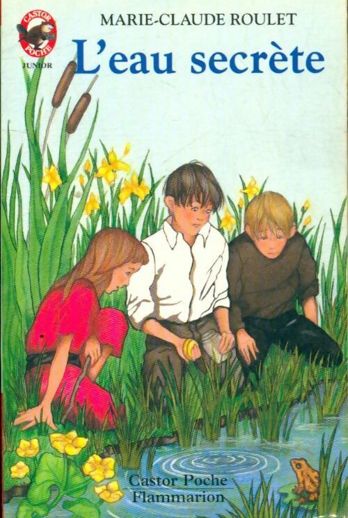 L'eau secrète - Marie-Claude Roulet -  Castor Poche - Livre