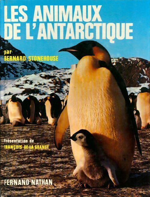 Les animaux de l'antarctique - Bernard Stonehouse -  Nathan GF - Livre