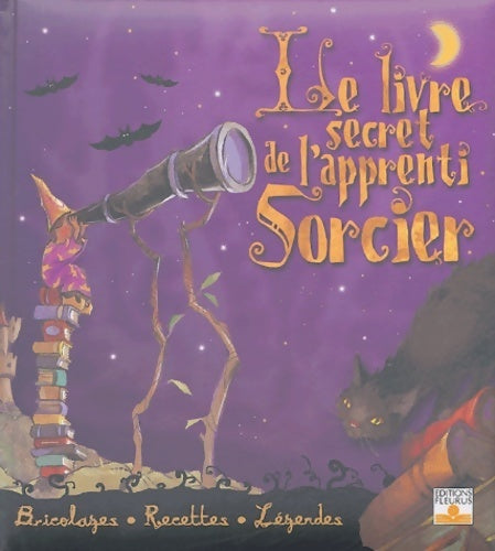 Le livre secret de l'apprenti sorcier - Janice Eaton Kilby -  Fleurus GF - Livre