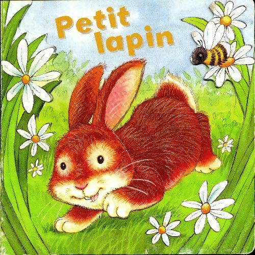 Petit lapin - Collectif -  Succès du livre - Livre