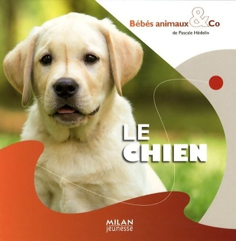 Le Chien - Pascale Hédelin -  Bébés animaux & co - Livre