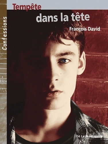 Tempête dans la tête - François David -  Confessions - Livre