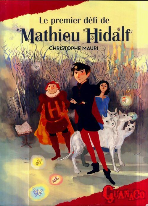 Mathieu Hidalf Tome I : le premier défi de Mathieu Hidalf - Christophe Mauri -  Guanaco - Livre