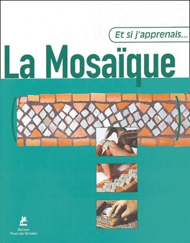 Et si j'apprenais la mosaïque - Pili Palacin -  Et si j'apprenais... - Livre