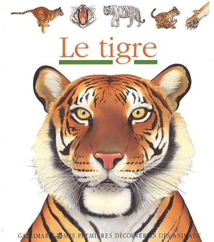 Le tigre - Collectif -  Mes premières découvertes - Livre