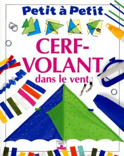 Cerf-volant dans le vent - David Michael -  Petit à petit  - Livre