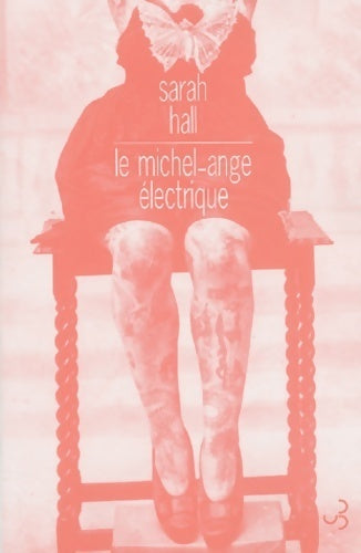 Le Michel-Ange électrique - Sarah Hall -  Bourgois GF - Livre