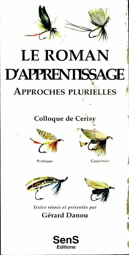 Le roman d'apprentissage. Approches plurielles - Gérard Danou -  Sens GF - Livre
