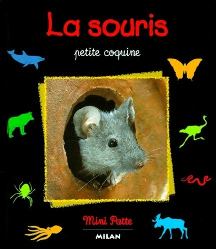 Souris petite coqui - Stéphane Frattini -  Mini Patte - Livre