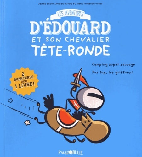 Édouard et son chevalier tête-ronde t. 1 - Alexis Frederick-frost -  P'tit Globulle - Livre