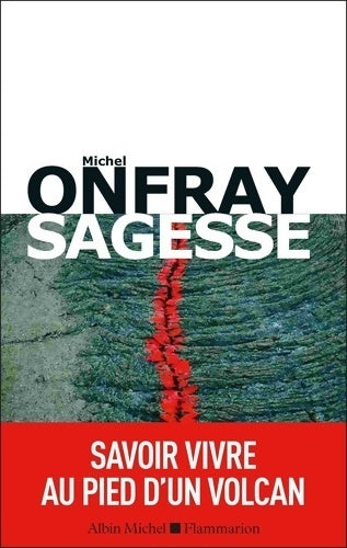 Sagesse : Savoir vivre au pied d'un volcan - Michel Onfray -  Albin Michel GF - Livre
