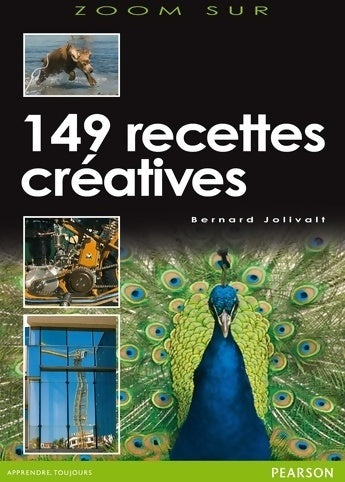 149 recettes créatives - Bernard Jolivalt -  Zoom sur... - Livre
