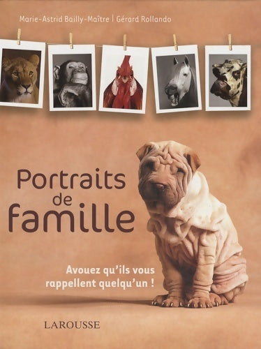 Portraits de famille : Avouez qu'ils vous rappellent quelqu'un ! - Marie-Astrid Bailly-Maitre -  Larousse GF - Livre
