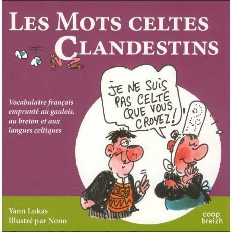 Les mots celtes clandestins - Yann Lukas -  Coop Breizh poches divers - Livre