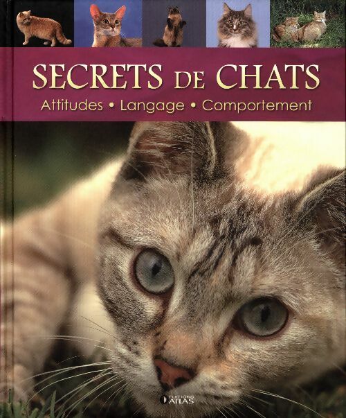 Secrets de chats - Marie-José Courreau -  Le Monde secret des chats - Livre