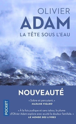 La tête sous l'eau - Olivier Adam -  Pocket - Livre
