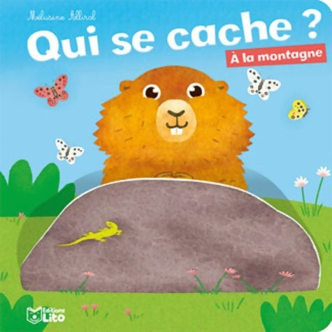 A la montagne - Mélusine Allirol -  Qui se cache ? - Livre