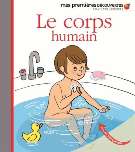 Le corps humain ? - Anne-Sophie Baumann -  Mes premières découvertes - Livre